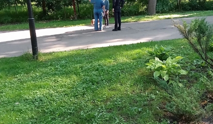 В Центральном парке проведён информационный рейд по контролю за выгулом собак
