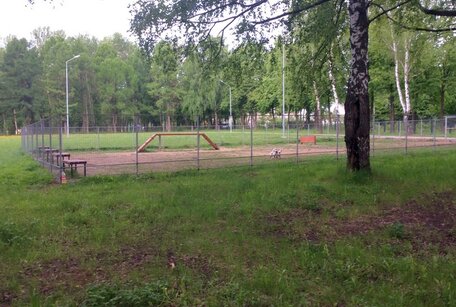 Площадка для выгула собак