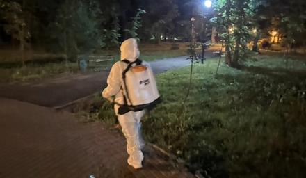 Акарицидная обработка в ЦПКиО