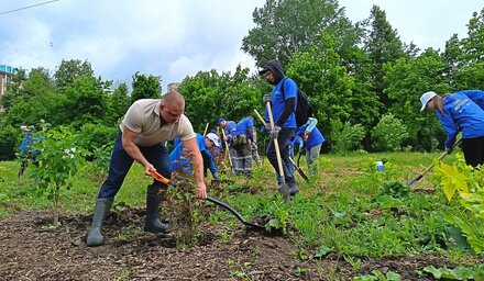 В Рогожинском парке высадили около 400 декоративных кустарников